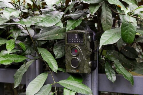 Nature Wildlife Cam TX 69 Cámara de vigilancia exterior Full HD Cámara de vida silvestre Visión nocturna 12MP 1080P Detector de movimiento impermeable Trampa fotográfica, Negro - Imagen 3