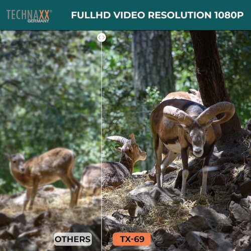 Nature Wildlife Cam TX 69 Cámara de vigilancia exterior Full HD Cámara de vida silvestre Visión nocturna 12MP 1080P Detector de movimiento impermeable Trampa fotográfica, Negro - Imagen 2