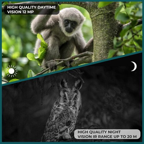 Nature Wildlife Cam TX 69 Cámara de vigilancia exterior Full HD Cámara de vida silvestre Visión nocturna 12MP 1080P Detector de movimiento impermeable Trampa fotográfica, Negro - Imagen 5