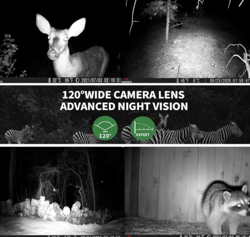 Cámara de sendero, 30 MP 1920P FHD 0.2S activado por movimiento, cámara de caza de juegos con visión nocturna IP66 impermeable, lente de cámara LCD de 120 ° - Imagen 3