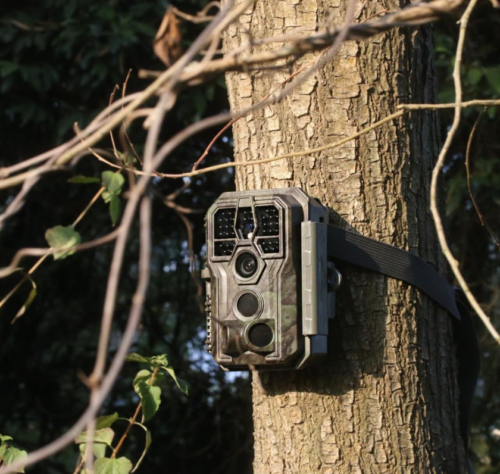 Cámara de rastro A50, 4K 64MP, tecnología de imagen de nueva generación, sensor - Imagen 2