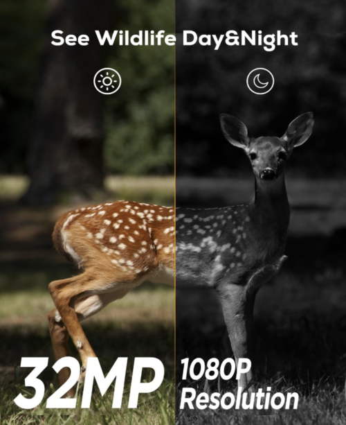 Cámara de sendero, cámara de juego de 32 MP 1080P con 940 nm - Imagen 2