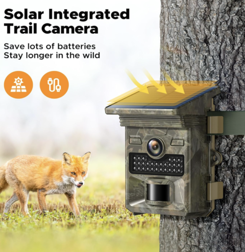 Cámara solar Trail - Cámara de juego 4K 48MP con tarjeta de memoria de 32 GB - Imagen 2