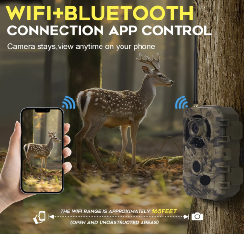 Cámaras de rastreo WiFi 4K con visión nocturna activada por movimiento IP66 impermeable - Imagen 2