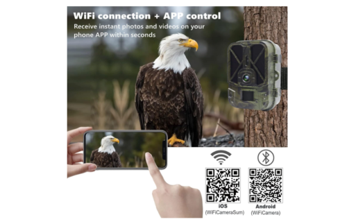 Cámara WiFi Trail 4K 36MP Bluetooth incorporada 10000mAh batería de litio recargable, cámara de juego con visión nocturna sin brillo, activada - Imagen 3