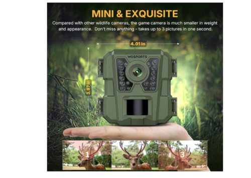 Mini cámara de rastro de 16 MP 1080P impermeable para caza con visión nocturna para monitoreo de vida silvestre, caza - Imagen 3