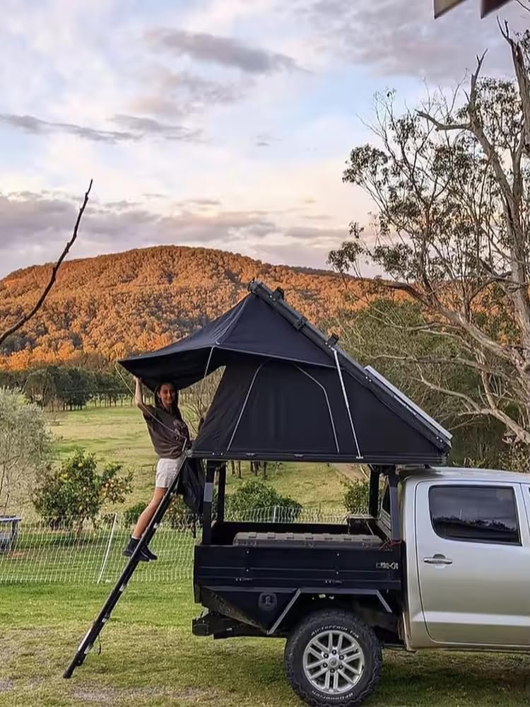 Tienda de campaña de viaje para gatos en la azotea, cubierta