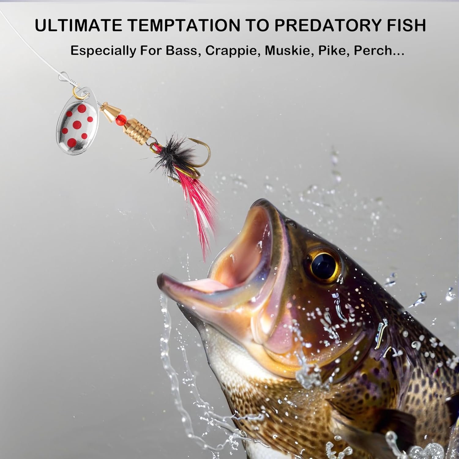 10 señuelos de pesca de cola de gallo con caja de aparejos, - Imagen 5